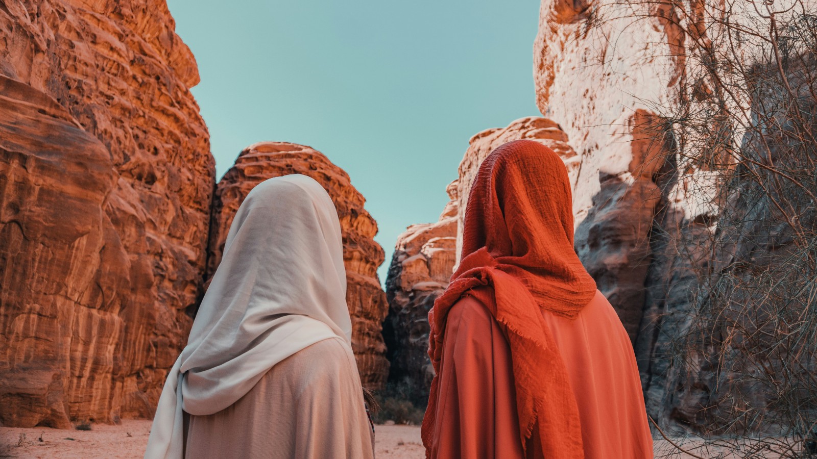 البوم صور للشركة